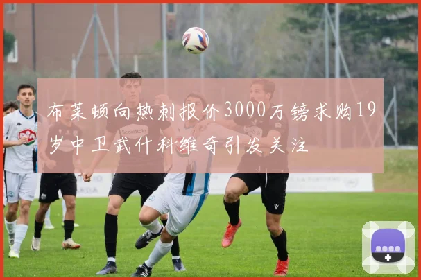 布莱顿向热刺报价3000万镑求购19岁中卫武什科维奇引发关注